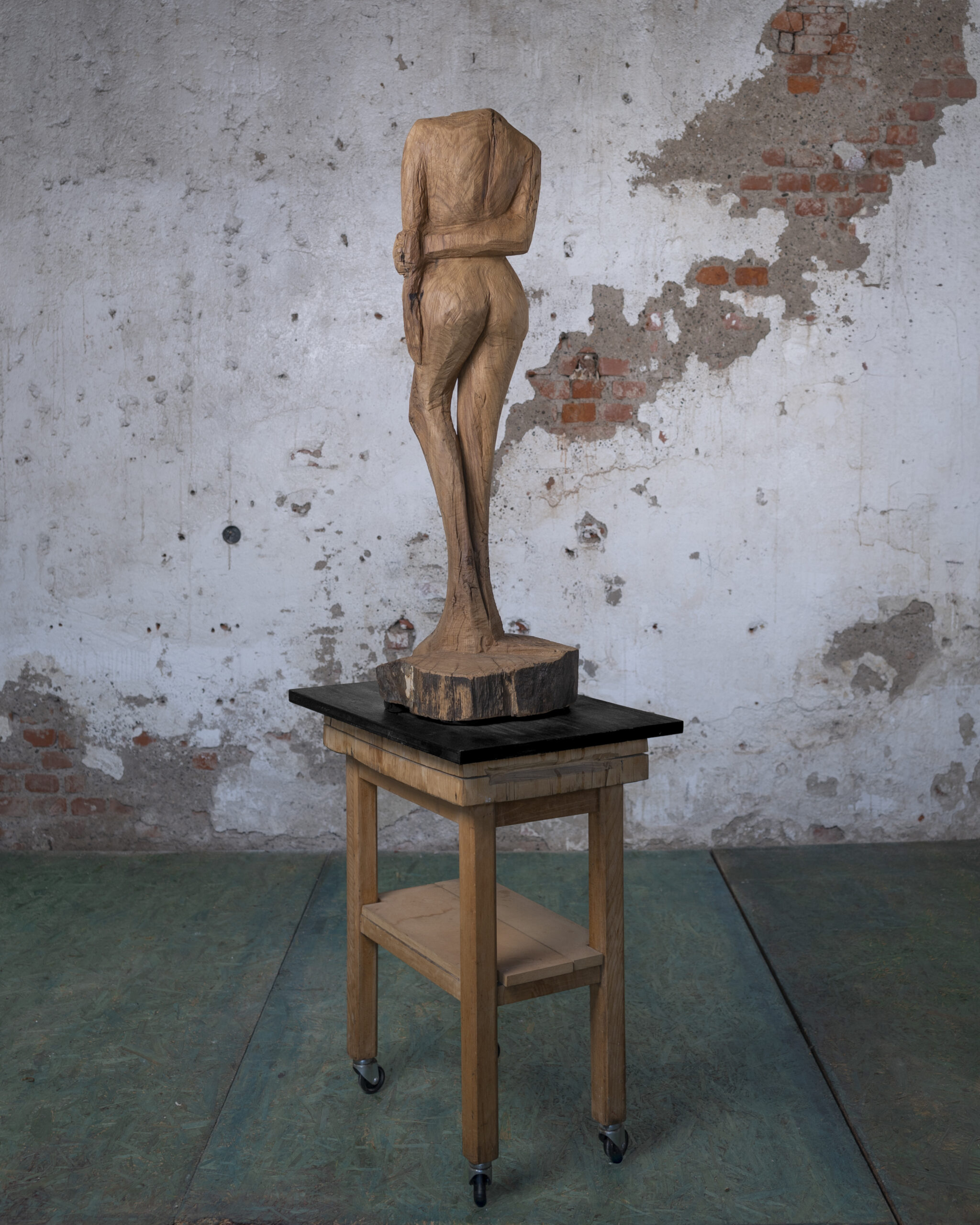 ©Donata Sasso 2026 